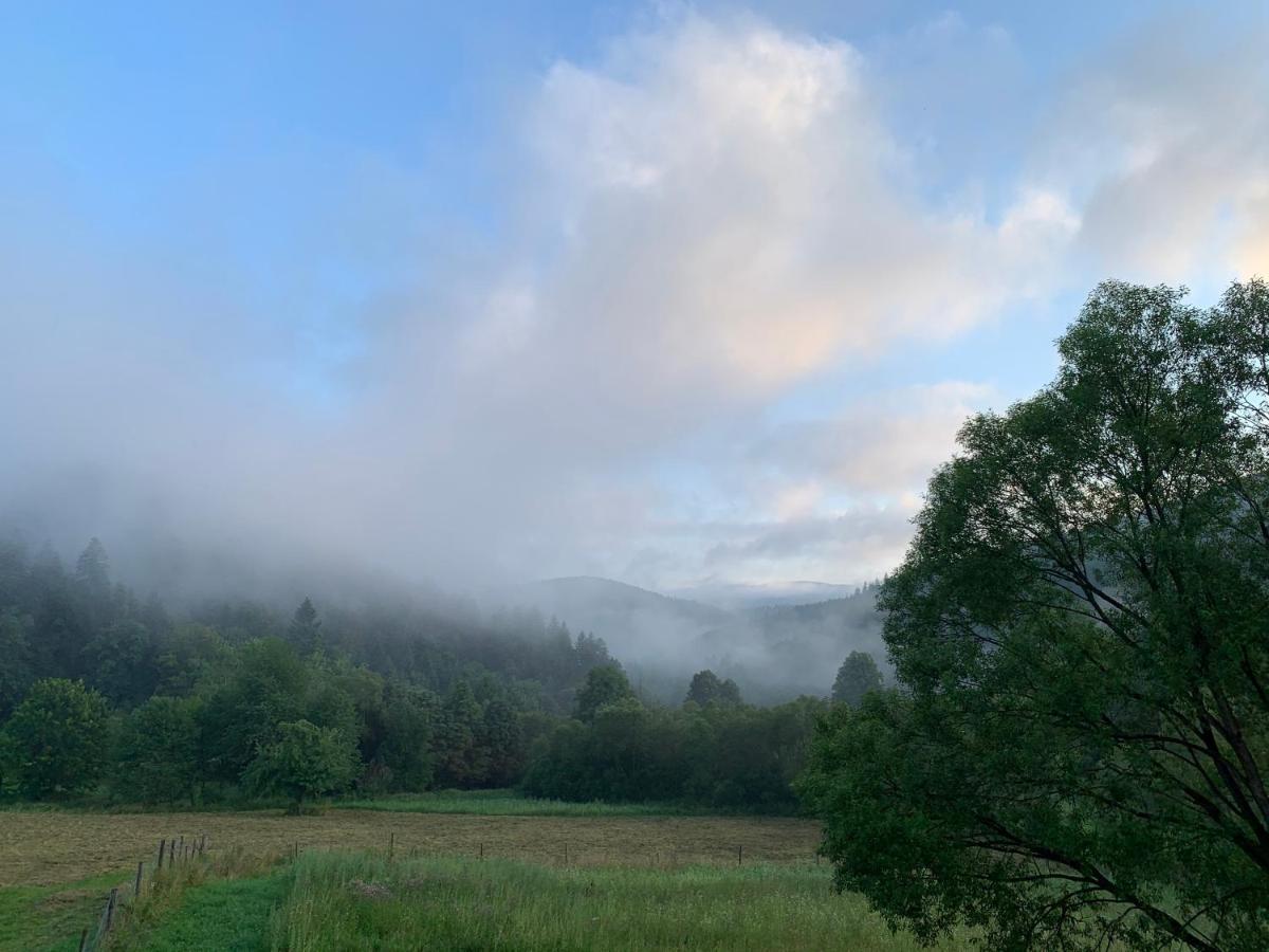 Tylko Tu Bieszczady, Balia, Sauna Baligród Екстериор снимка