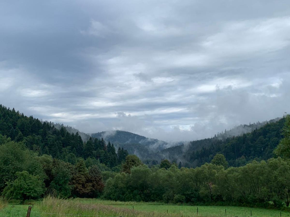 Tylko Tu Bieszczady, Balia, Sauna Baligród Екстериор снимка