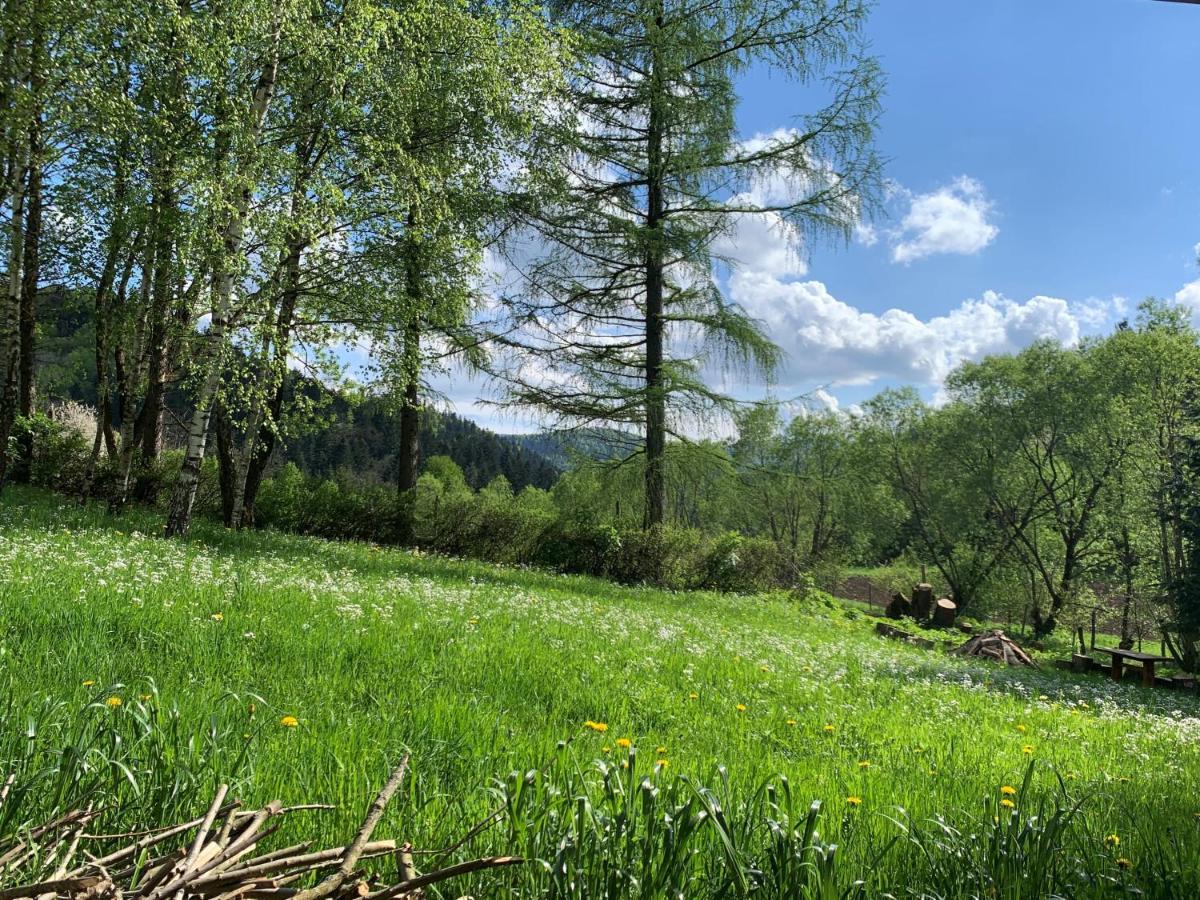 Tylko Tu Bieszczady, Balia, Sauna Baligród Екстериор снимка